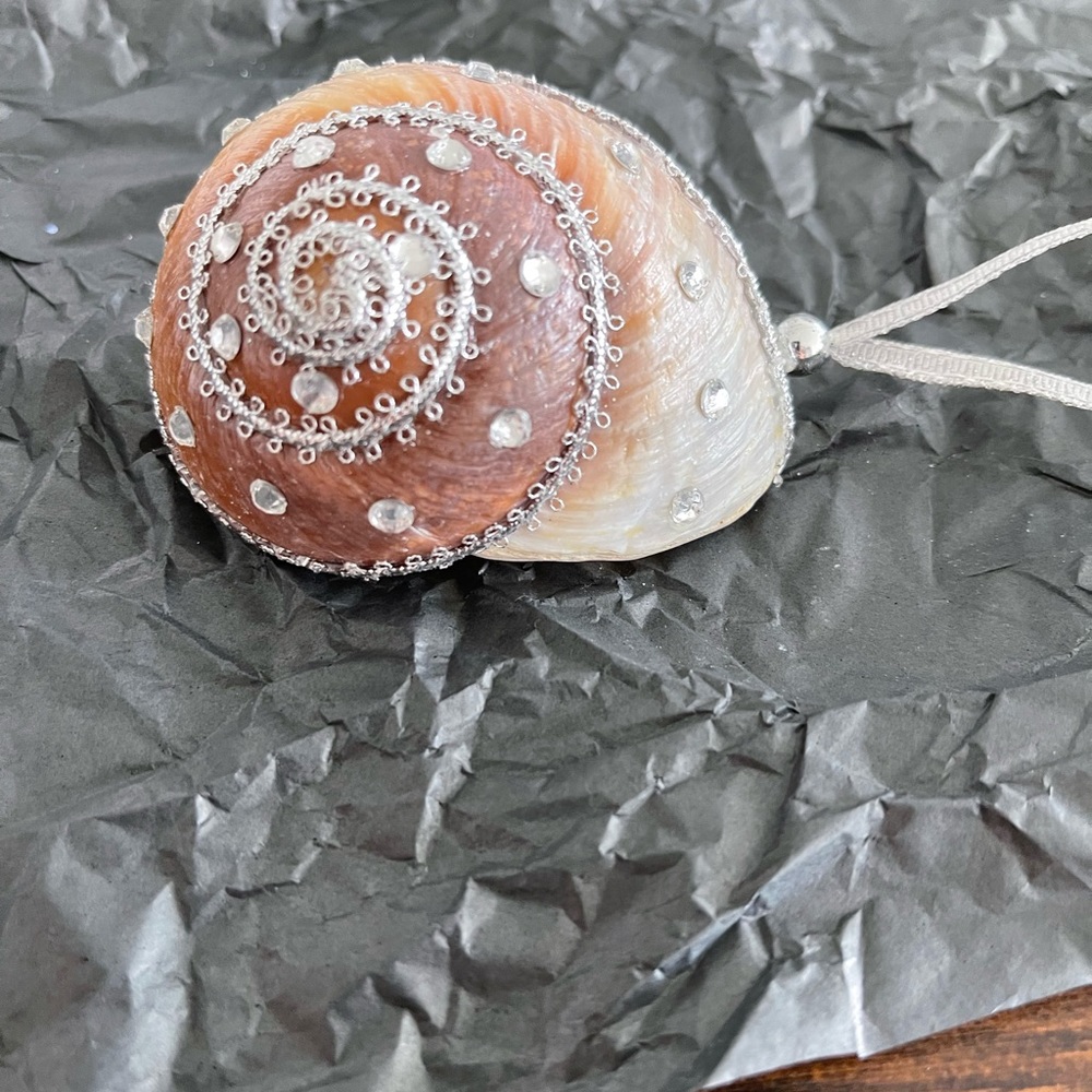 Shell ornament